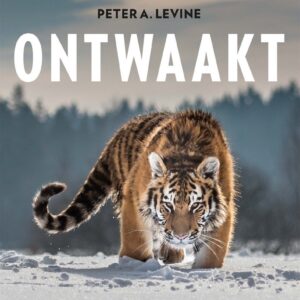 De tijger ontwaakt